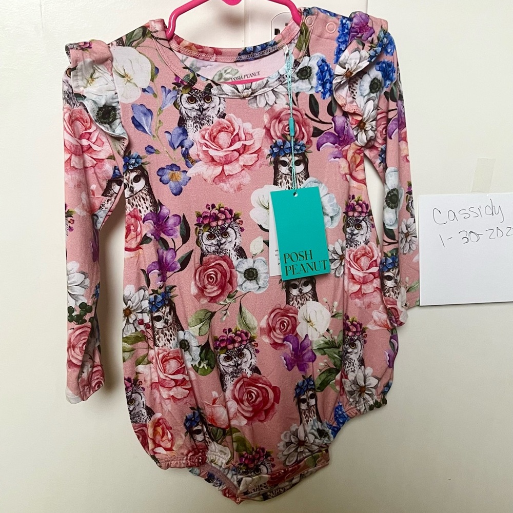 NWT Posh Peanut bubble romper